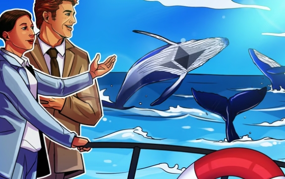 104 鲸鱼钱包现在持有所有以太坊的 57%，预示着牛市